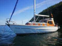 Bicker Biga 29 MS