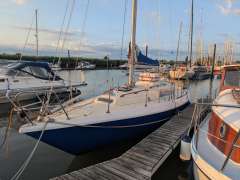 Neptun 31