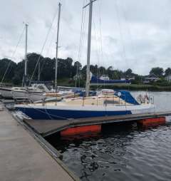 Neptun 31