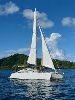 Henze Simpson 1201