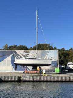 Delphia 31