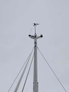 Delphia 31