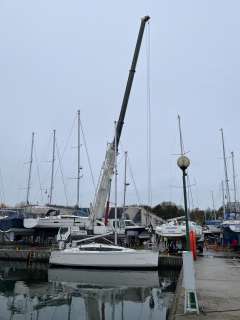 Delphia 31