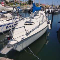 Maxi 84