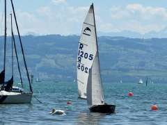Delphin Segeljolle Barca a deriva