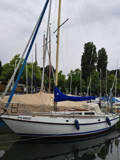 Deerberg Saphir 3 Deerberg Saphir 3