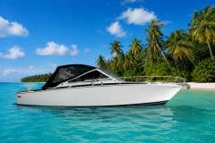 Bertram 28 Moppie