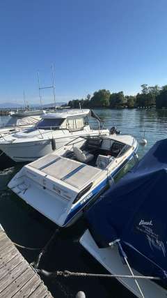 Wellcraft Eclipse 187 XL Motoscafo