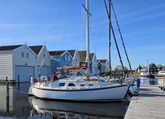 de Kloet Midget 31 Sailing yacht