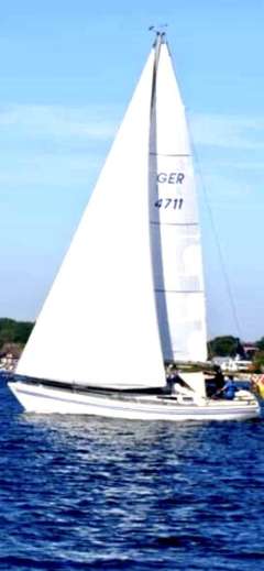 Bianca 36