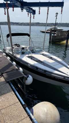 Viper 283 Toxxic