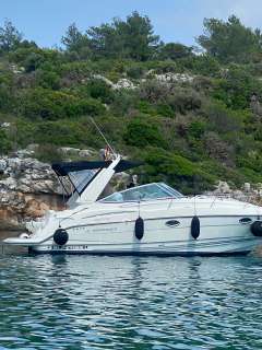 Monterey 315 SCR