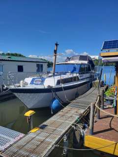 Grahl Yvo 41
