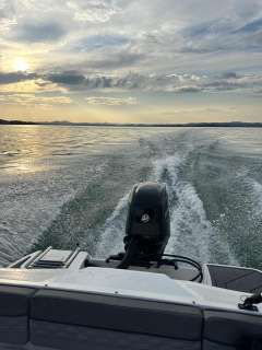 Bayliner M15
