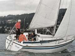 Nordship 808 Segelyacht