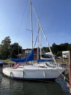 Albin Cirrus 78