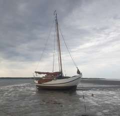 Vollenhovense Bol 8.10 Yelkenli yat