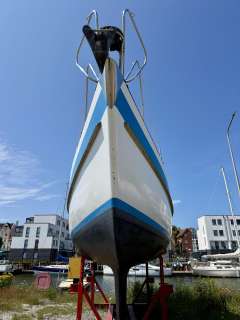 Genzel Orion 34