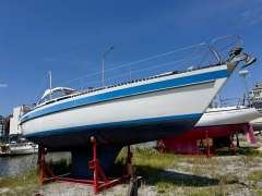 Genzel Orion 34