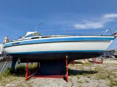 Genzel Orion 34