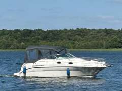 Sea Ray 240 DA Motor yacht