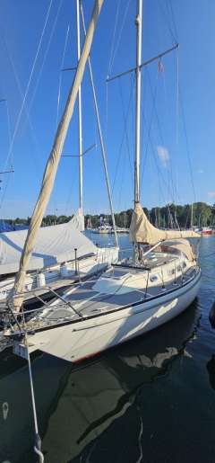 Asmus Hanseat 70 Mk III