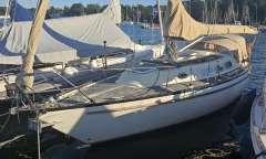 Asmus Hanseat 70 Mk III