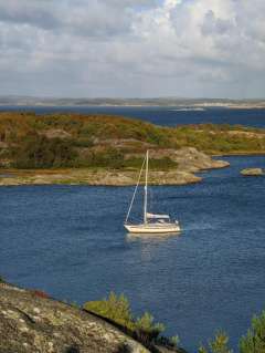 Aphrodite 37