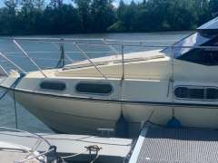Sealine 305