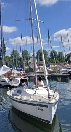 Sailart 17