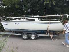 Delphia Sportina680