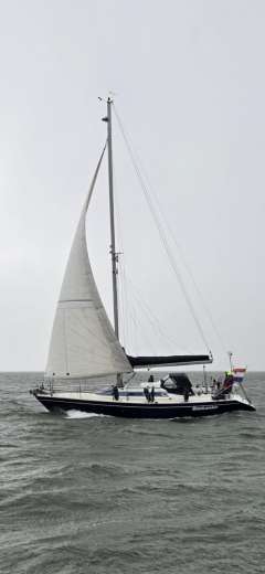 Dehler 34/optima Segelyacht