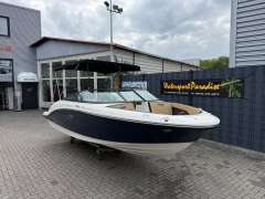 Sea Ray SPX 190 Sportboot