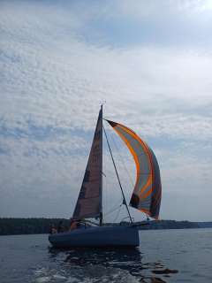 Bente 24