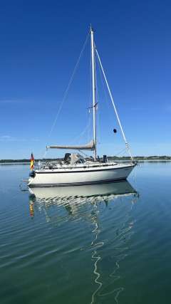 C-Yacht Compromis999