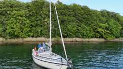 C-Yacht Compromis999