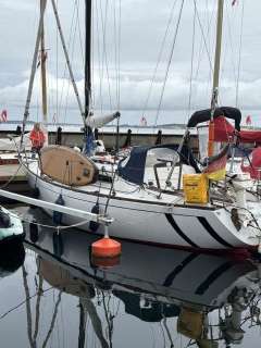 Carter 30