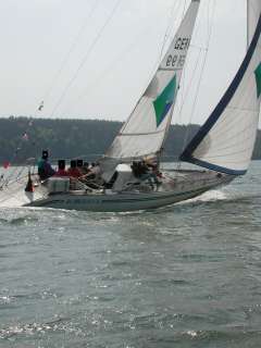 Comfortina Cayenne 42