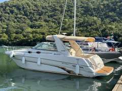 Sea Ray Sundancer 290