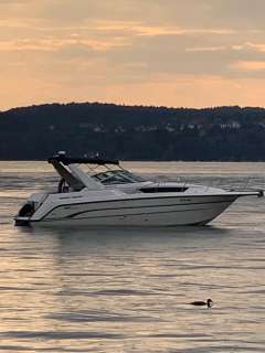 Chaparral 29 Signatur Motor yacht