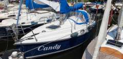 Sagitta 20