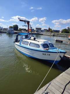 Mayland 20