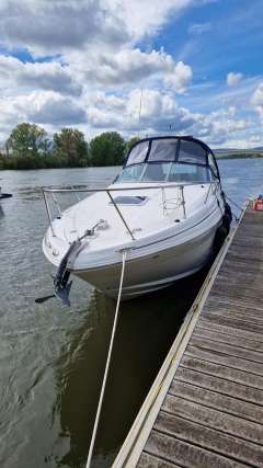 Sea Ray Sundancer 315