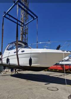 Sea Ray Sundancer 315