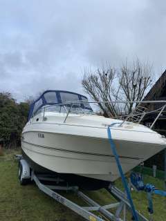 Larson Cabrio 244