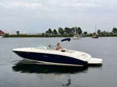 Sea Ray SEARAY 240 SS + Mercruiser 5.0l MPI Konsolenboot