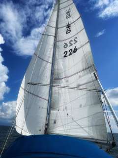 Deerberg Beryll 31