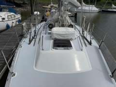 Carter 39