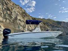 Boston Whaler Dauntless 230 Center Console