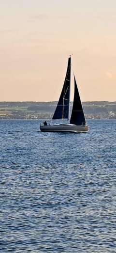 Elan 310 Sailing yacht